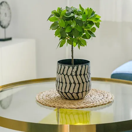 Sunset - Playa Americas 아파트 *